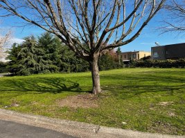 Sale of Lot San Isidro Labrador