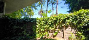 Rental 2-Room Apartment with Garden, No Expenses, Florida