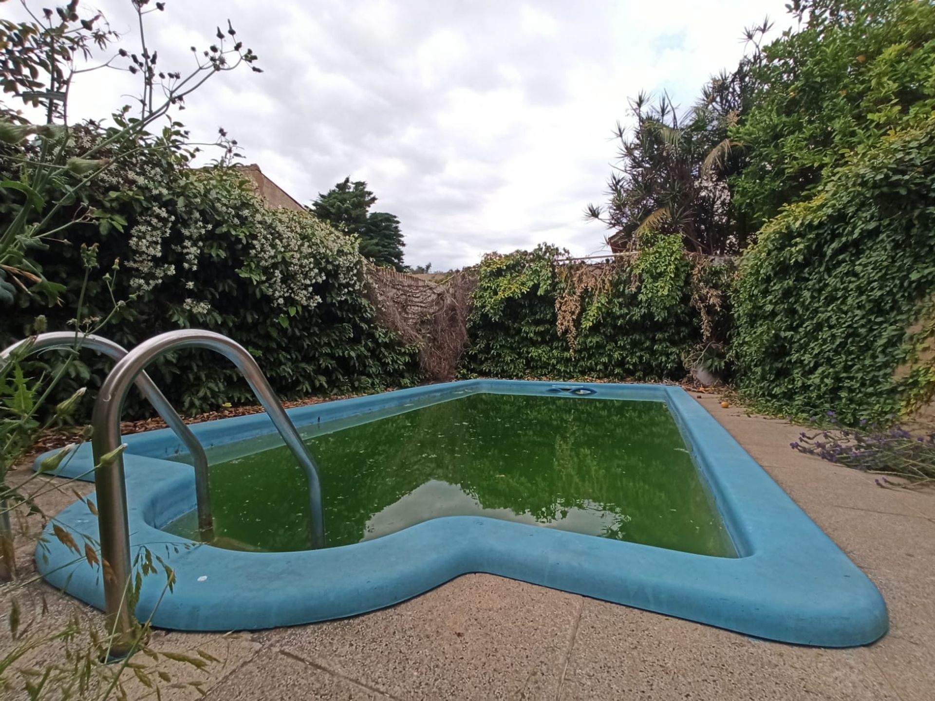 ALQUILER DUPLEX 5amb OLIVOS c/COCHERA Y PILETA