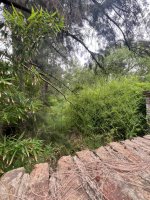 Sale of Land Lot 1,000 m² in Juan Racine, Tigre