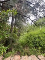 Sale of Land Lot 1,000 m² in Juan Racine, Tigre