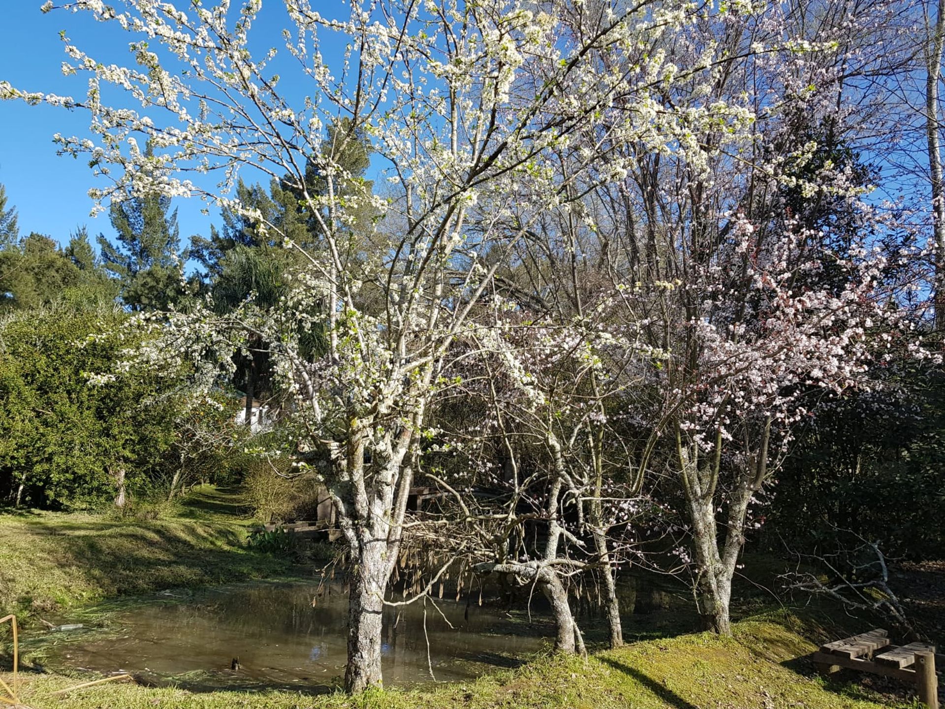 Venta Casa Delta Tigre Rio Caraguata