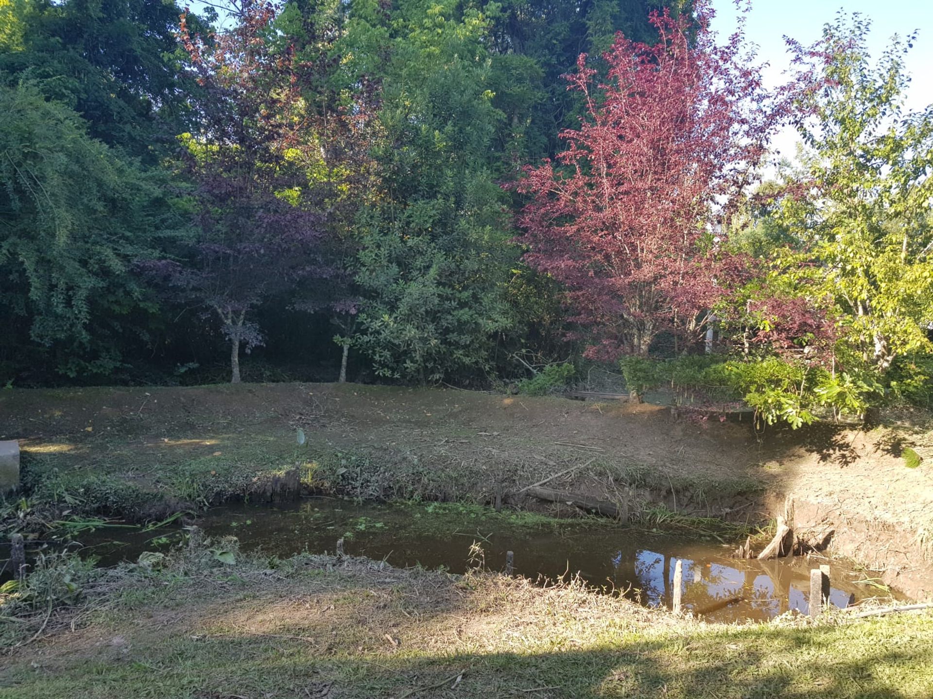 Venta Casa Delta Tigre Rio Caraguata