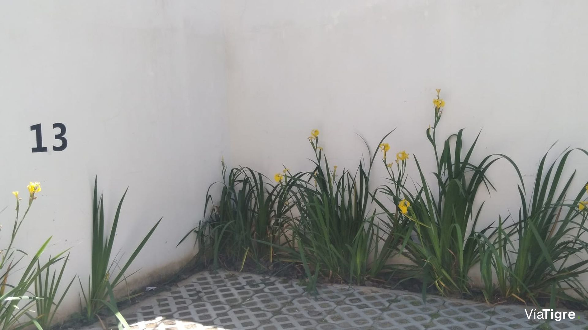 Departamento 3 Ambientes Venta Tigre
