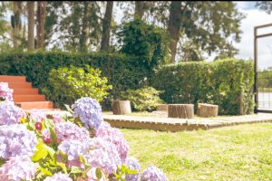 Casa 3 Ambientes En El Delta Del Tigre