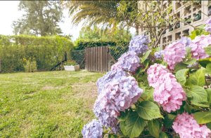 Casa 3 Ambientes En El Delta Del Tigre