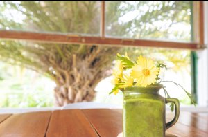 Casa 3 Ambientes En El Delta Del Tigre