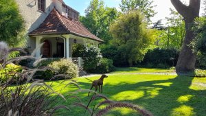 Casa,7 Amb.,San Isidro,Acassuso,Pileta,Gran Parque