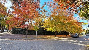 Casa,7 Amb.,San Isidro,Acassuso,Pileta,Gran Parque