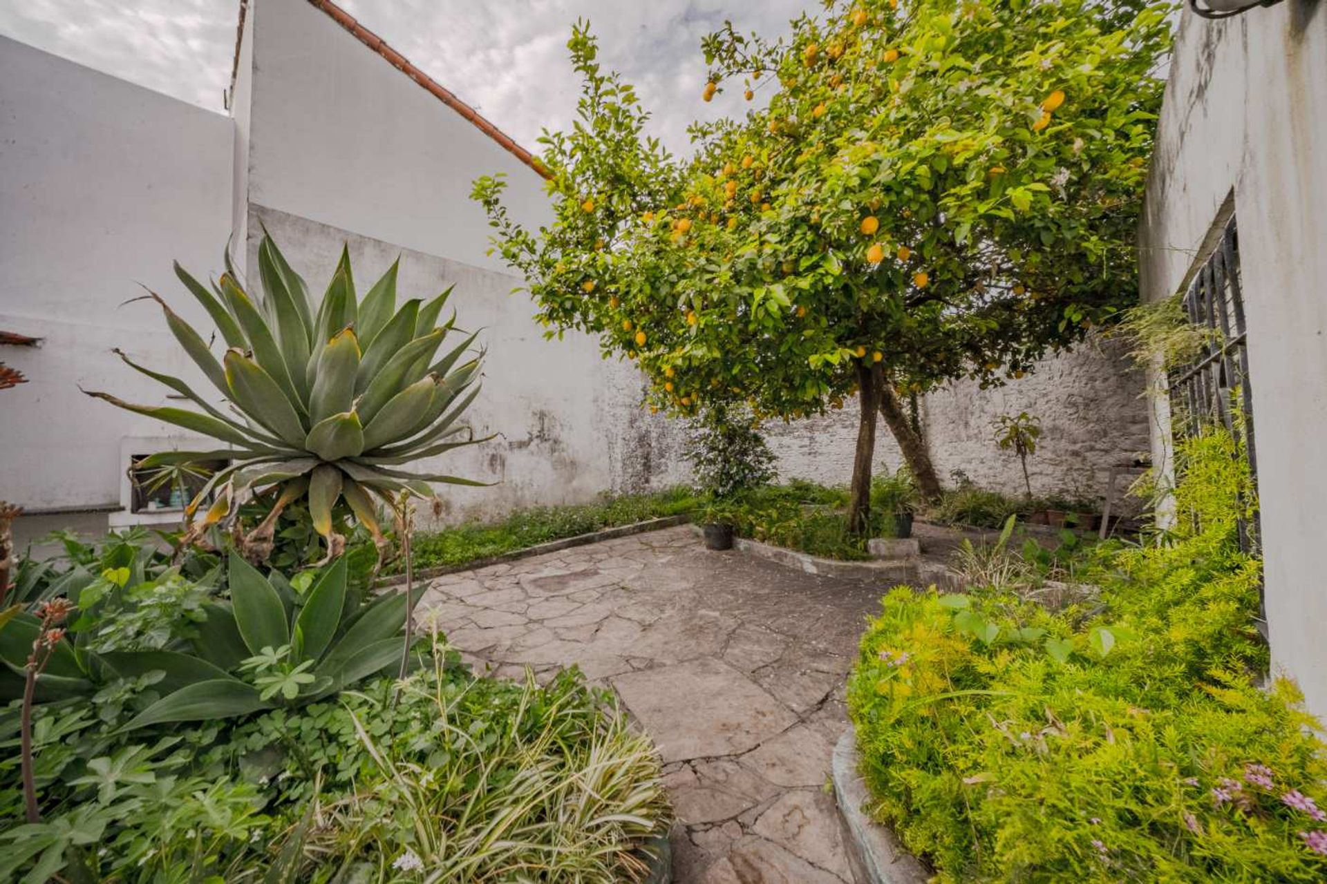 Venta Casa 5 Ambientes Carapachay Pileta
