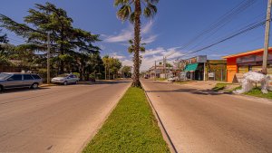 Lote 1000 Metros En Venta Benavidez Con Locales