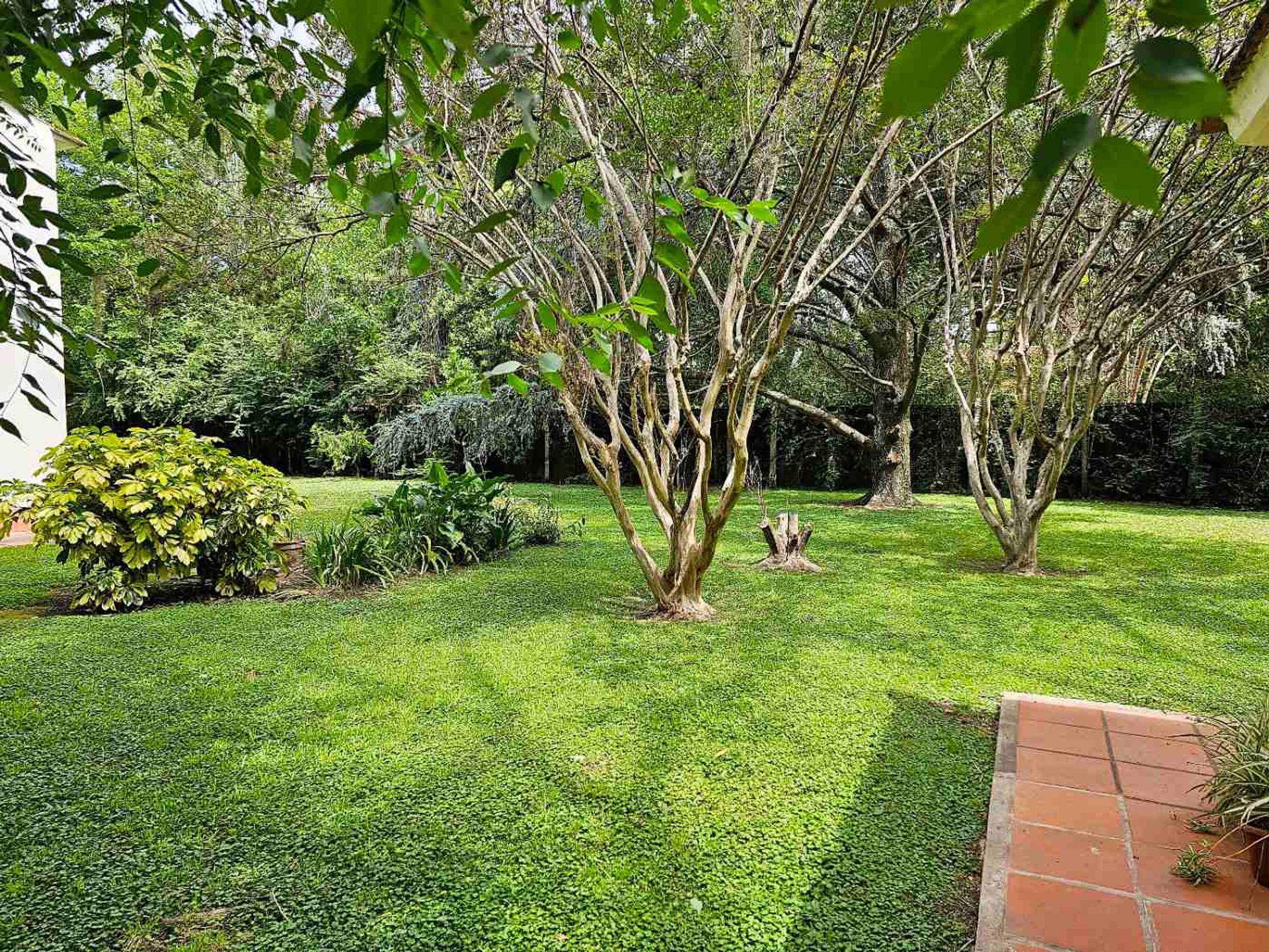 Venta casa Lopez Camelo - TIGRE-Pileta y Parque