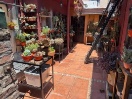 Ph 3 Rooms - With Patio in Beccar - Needs Refurbishment