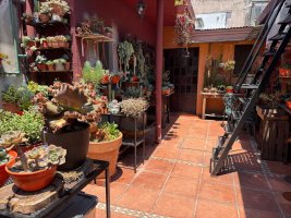 Ph 3 Rooms - With Patio in Beccar - Needs Refurbishment