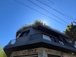 Ph en alquiler 3 ambientes Martinez terraza jardín