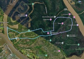 Land Sale in Delta del Tigre – 98 hectares