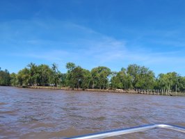 Land Sale in Delta del Tigre – 98 hectares