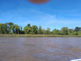 Land Sale in Delta del Tigre – 98 hectares