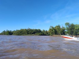 Land Sale in Delta del Tigre – 98 hectares