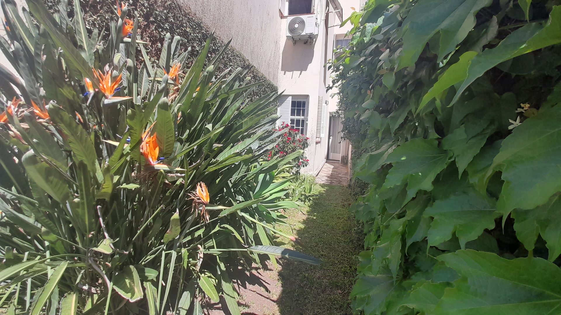 PH tipo Casa 4 amb con jardín Garaje Vicente López