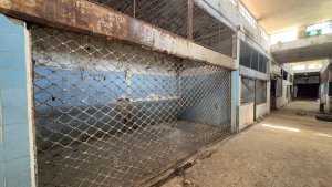 Venta Deposito Galpon A Refaccionar Boulogne, Si