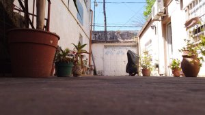 Venta Casa-Galpon-Quincho-Tigre Centro