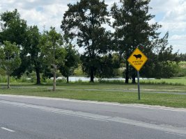 Lote en venta en Silvestre Nordelta con Proyecto