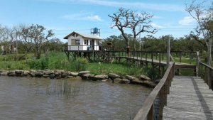 Sale of 8.4‑hectare fraction – Canal Honda – Delta Tigre