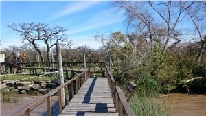 Sale of 8.4‑hectare fraction – Canal Honda – Delta Tigre