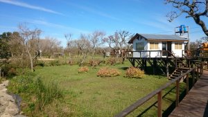 Sale of 8.4‑hectare fraction – Canal Honda – Delta Tigre