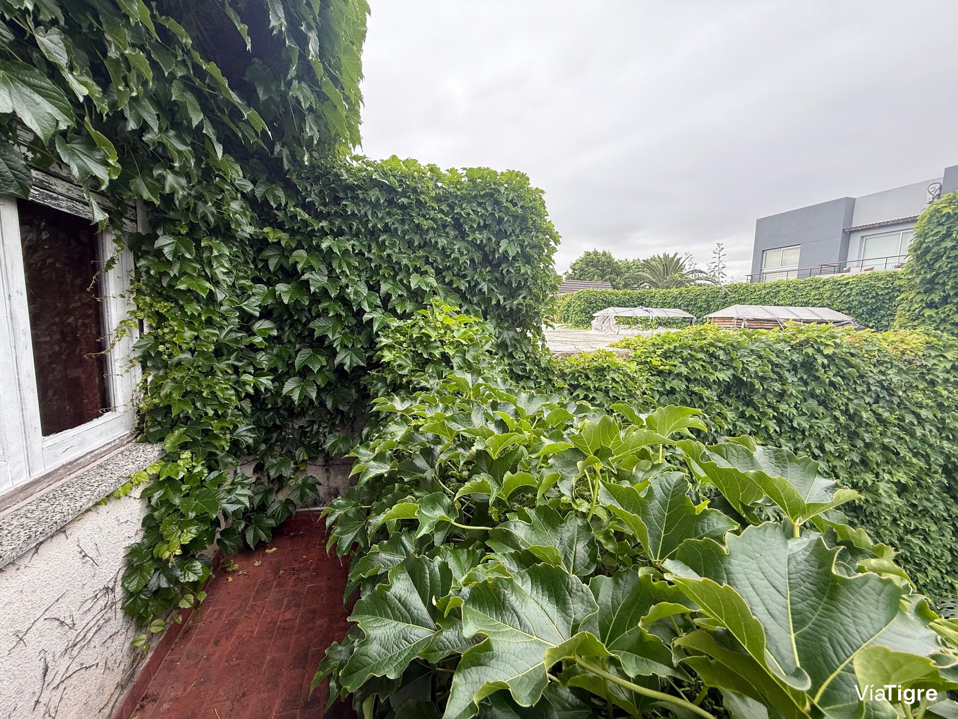 Venta Ph 3 Amb Olivos Con Jardin Apto Credito