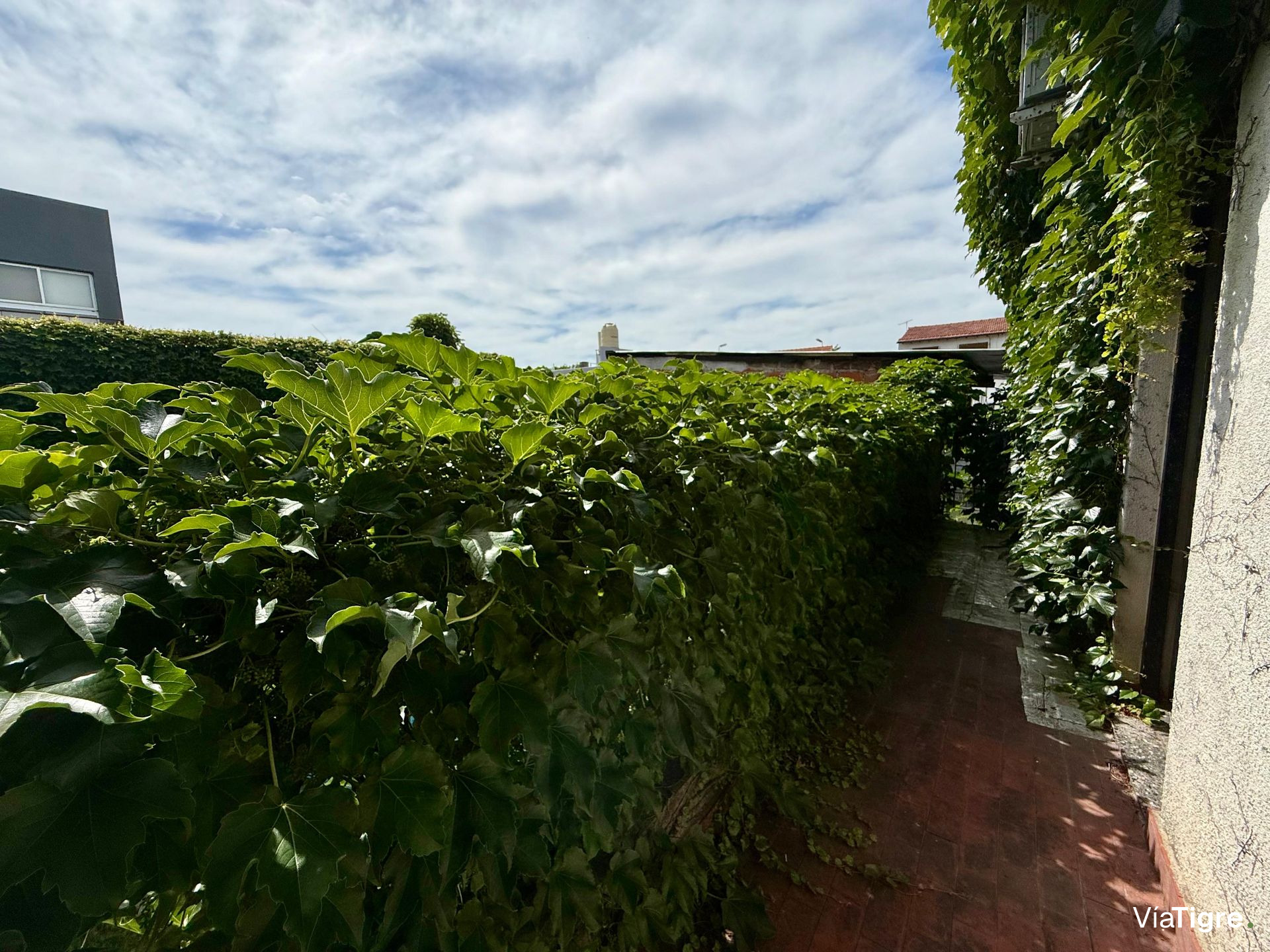 Venta Ph 3 Amb Olivos Con Jardin Apto Credito