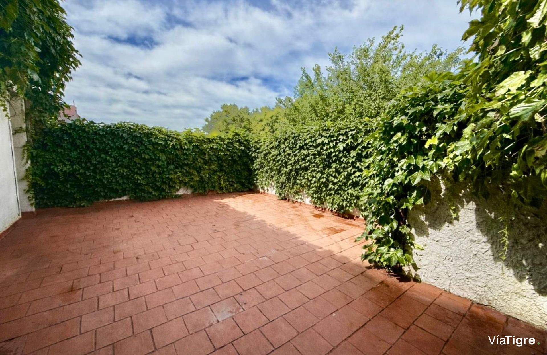 Venta Ph 3 Amb Olivos Con Jardin Apto Credito