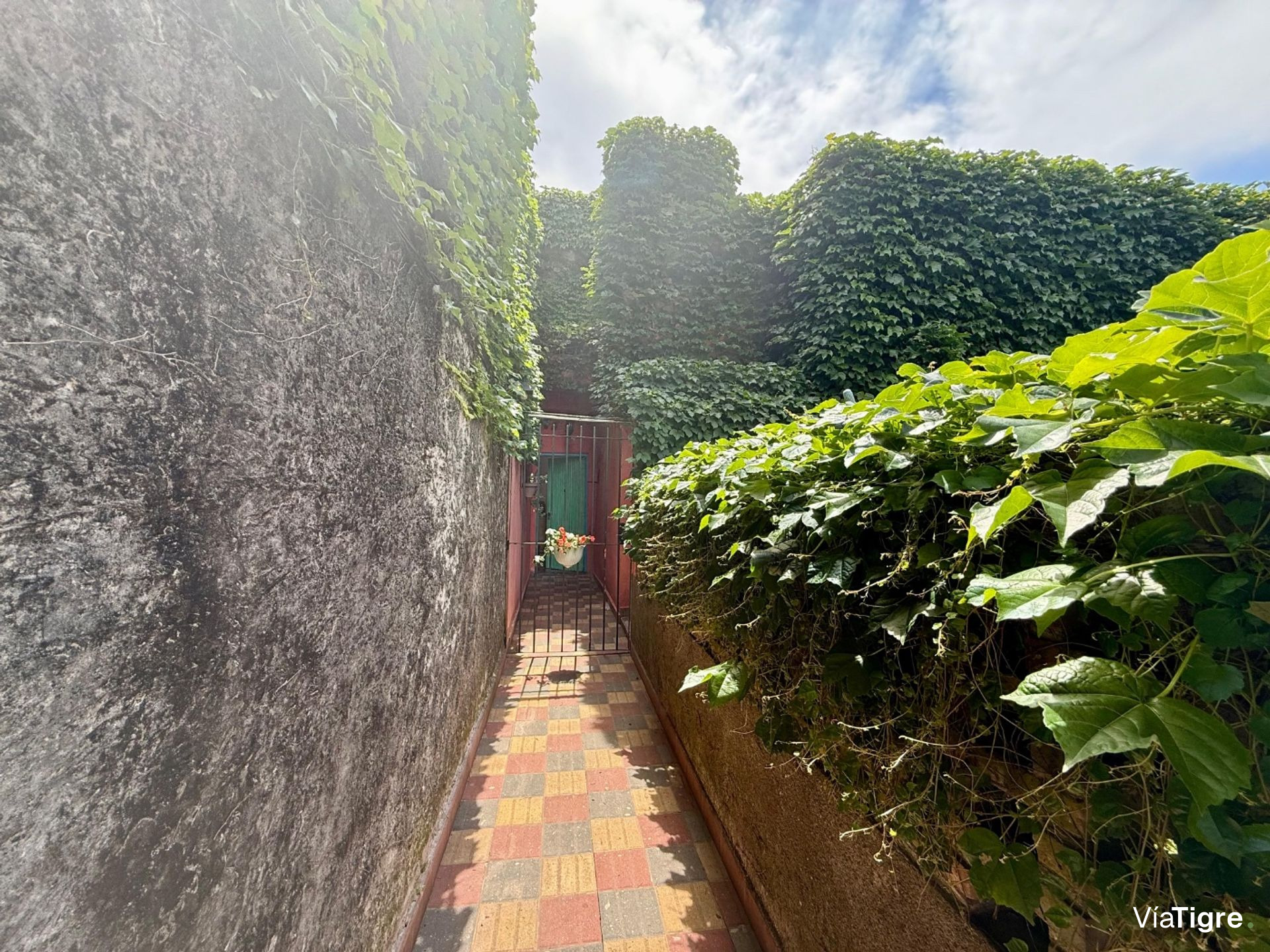 Venta Ph 3 Amb Olivos Con Jardin Apto Credito