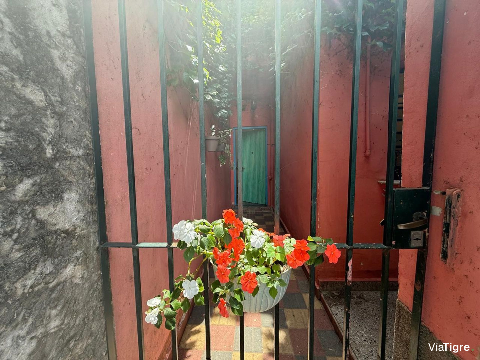 Venta Ph 3 Amb Olivos Con Jardin Apto Credito