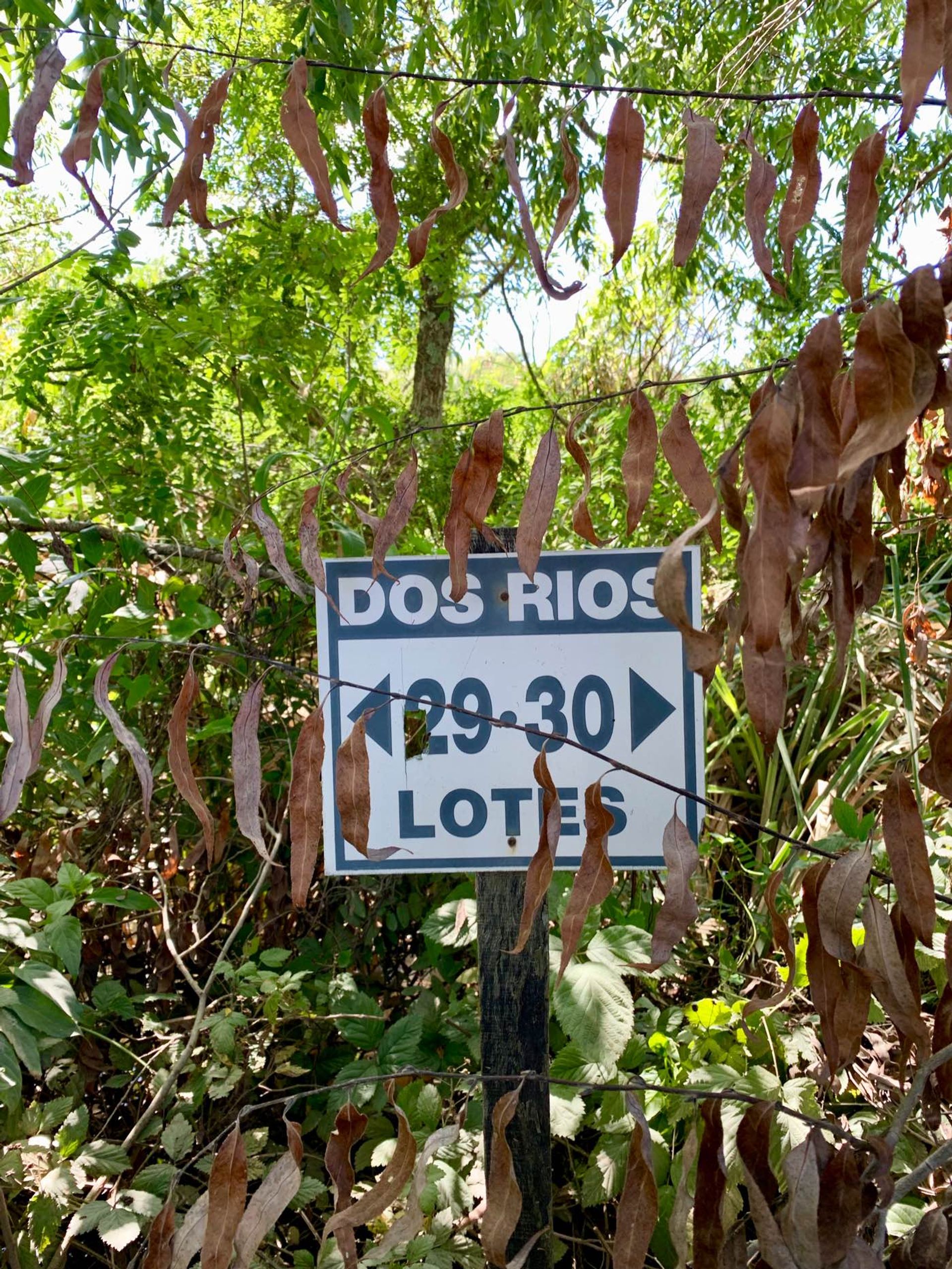Lote 41 en Desarrollo Ecológico, Dos Rios