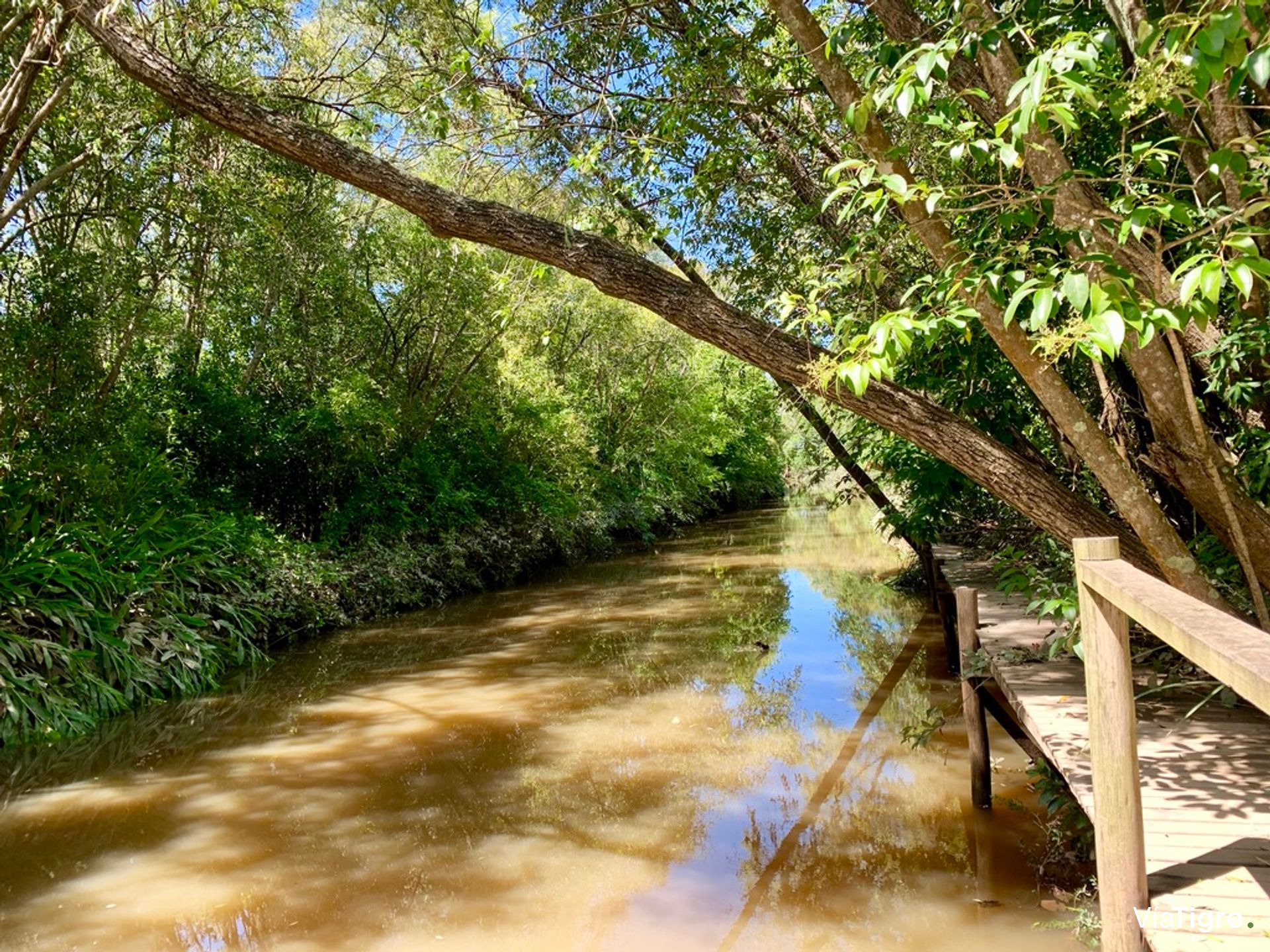 Lote 40 en Desarrollo Ecológico, Dos Rios