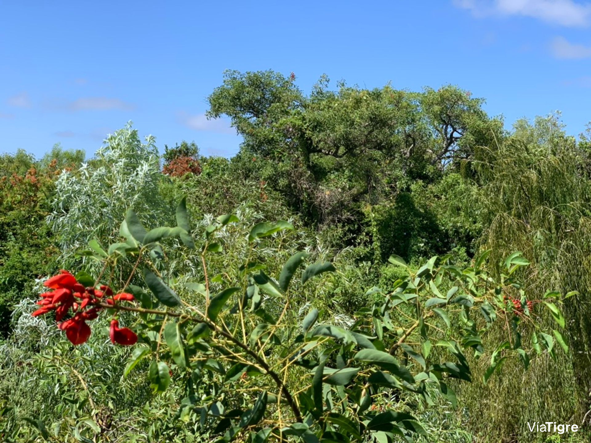 Lote 40 en Desarrollo Ecológico, Dos Rios