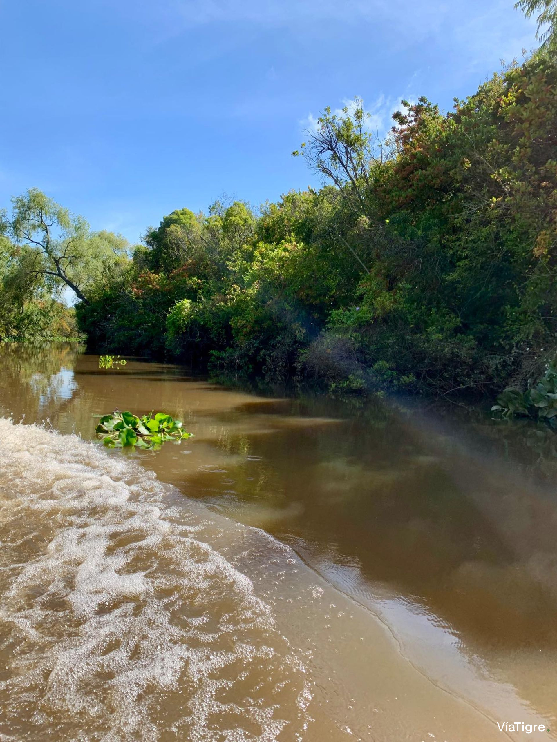 Lote 40 en Desarrollo Ecológico, Dos Rios
