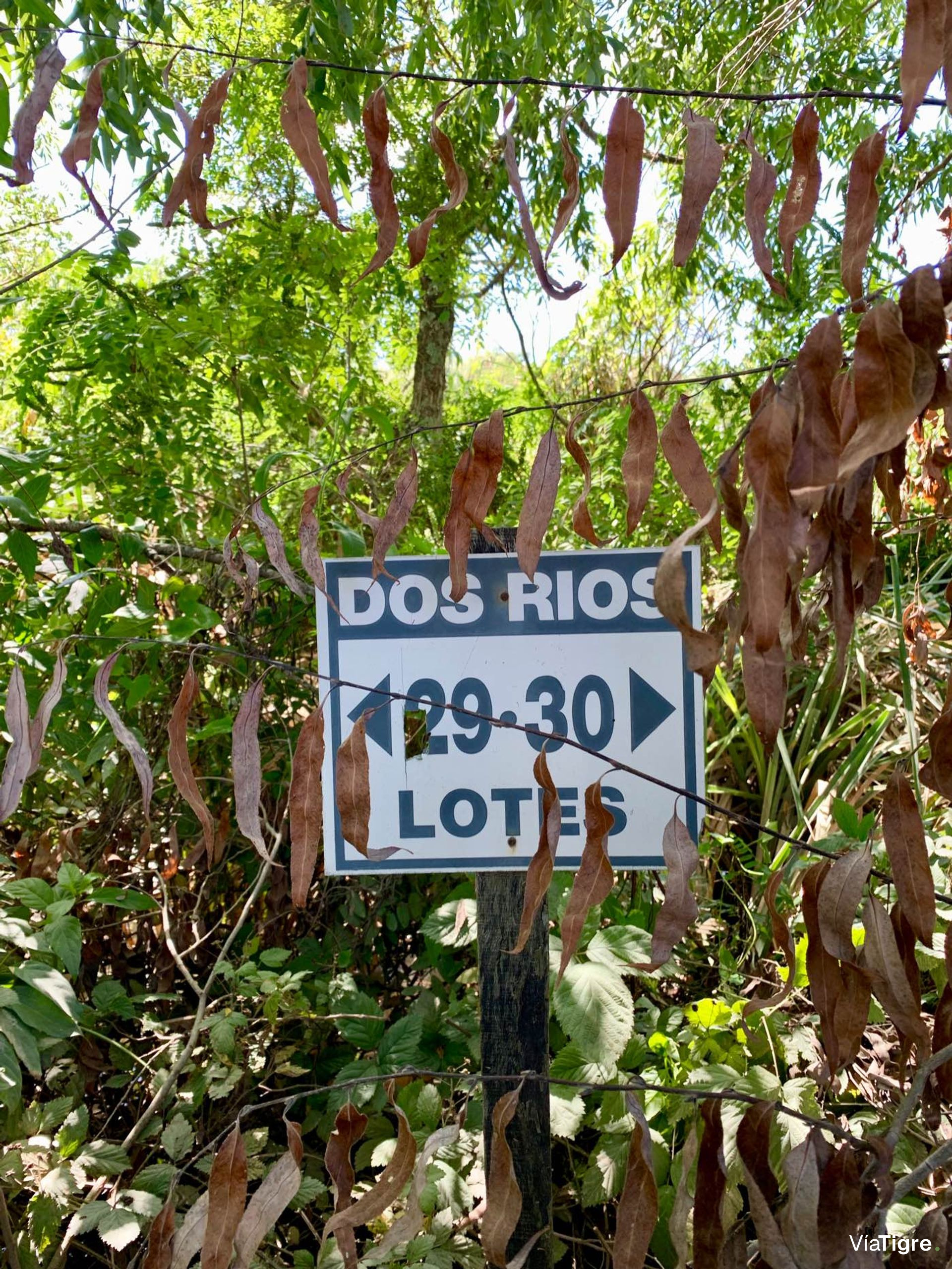 Lote 40 en Desarrollo Ecológico, Dos Rios