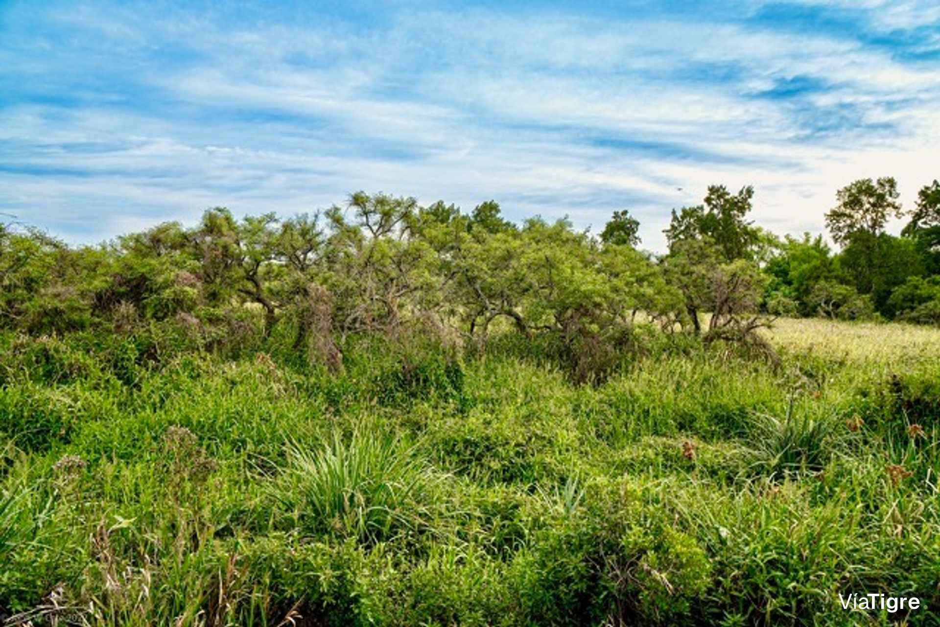 Lote 40 en Desarrollo Ecológico, Dos Rios