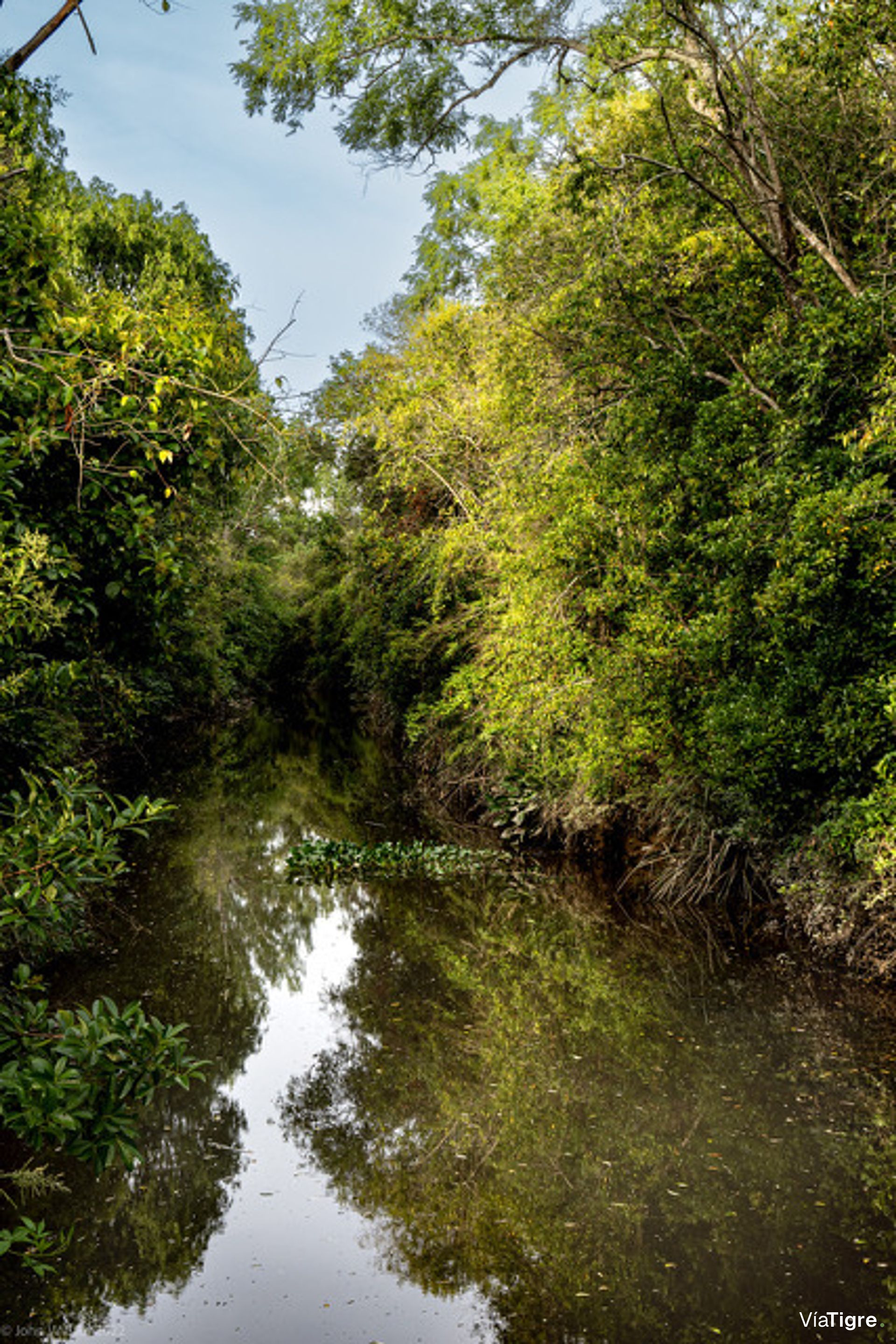 Lote 40 en Desarrollo Ecológico, Dos Rios