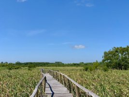 Lote 40 en Desarrollo Ecológico, Dos Rios