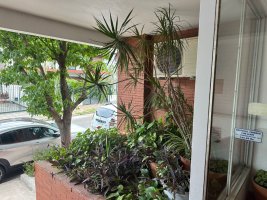 Departamento Dos Ambientes, Olivos