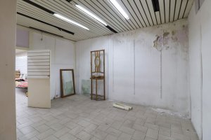 VENTA 2 LOCALES COMERCIALES Y CASA 5 amb / PARQUE