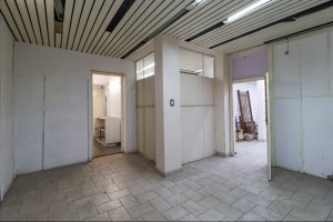 VENTA 2 LOCALES COMERCIALES Y CASA 5 amb / PARQUE