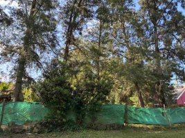 Sale of Lot La Bota, Ingeniero Maschwitz, Credit