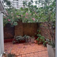 Rent 2 Rooms Olivos Large Terrace