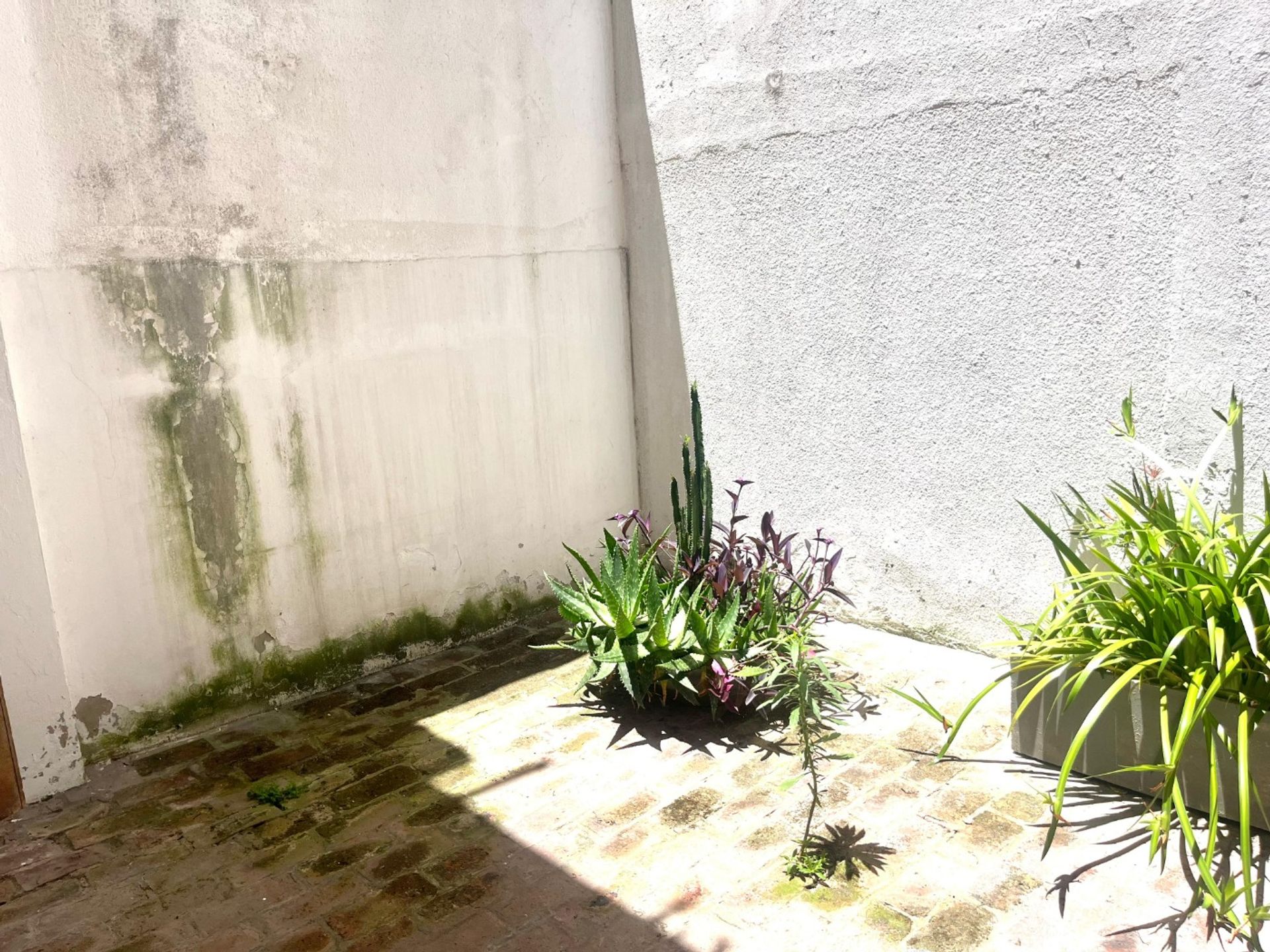 Venta PH 4 ambientes Vicente Lopez con patio