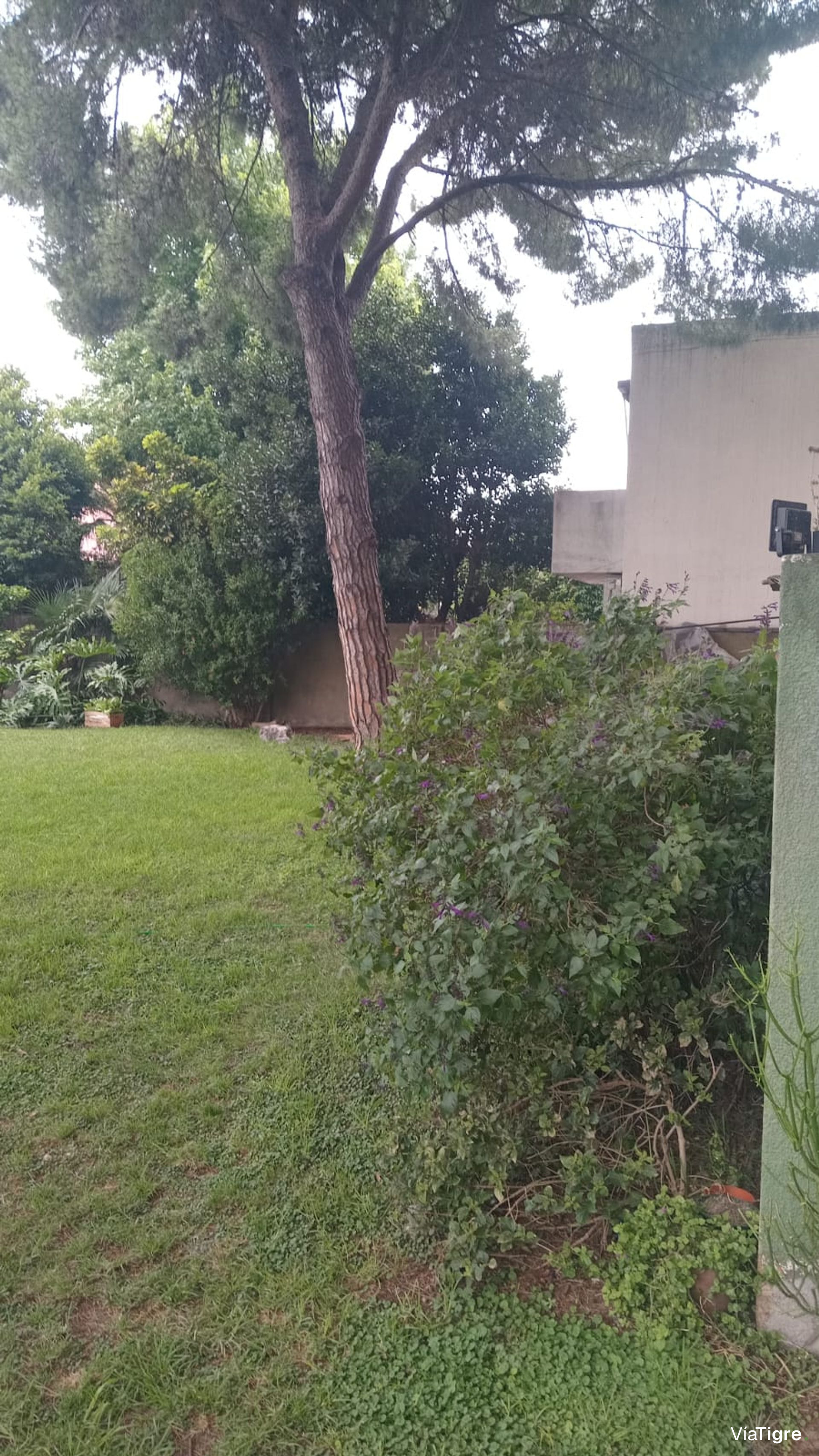 Departamento 2 Amb. Vicente Lopez Apto Credit0